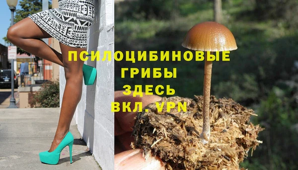 ПСИЛОЦИБИНОВЫЕ ГРИБЫ Каменногорск