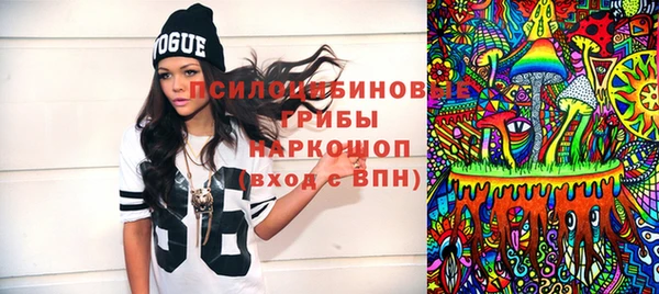 ПСИЛОЦИБИНОВЫЕ ГРИБЫ Каменногорск