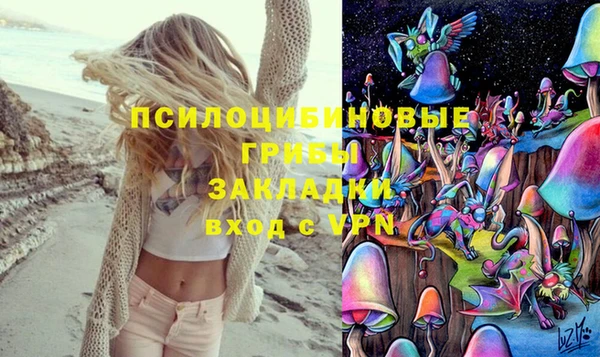 дмт Каменск-Шахтинский