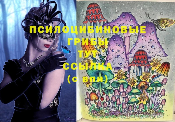 ПСИЛОЦИБИНОВЫЕ ГРИБЫ Каменногорск